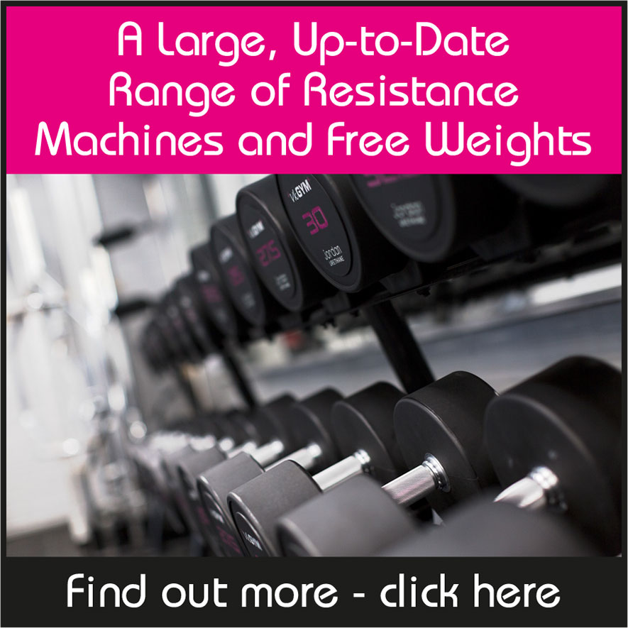 A Large, Up-to-Date Range of Resistance Machines and Free Weights